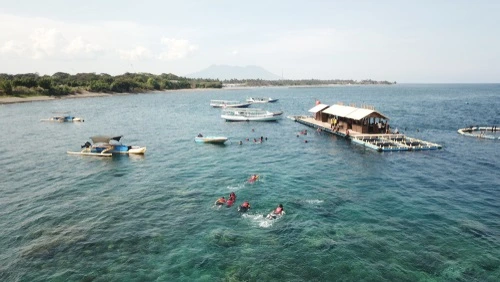 Bangsring underwater destinasi wisata banyuwangi - CIMB Niaga