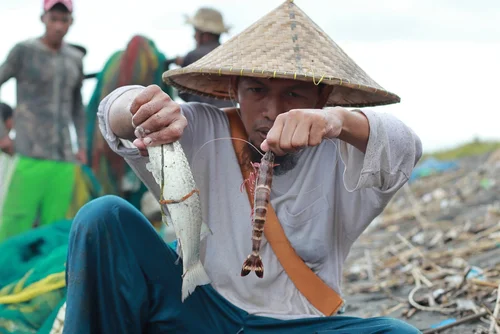 Kegiatan Ekonomi Bisnis Bidang Perikanan - CIMB Niaga