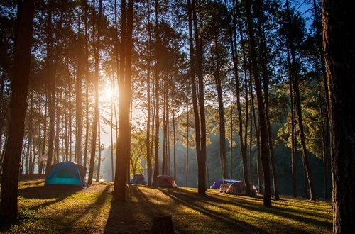 Wisata bogor highland camp curug panjang - CIMB Niaga