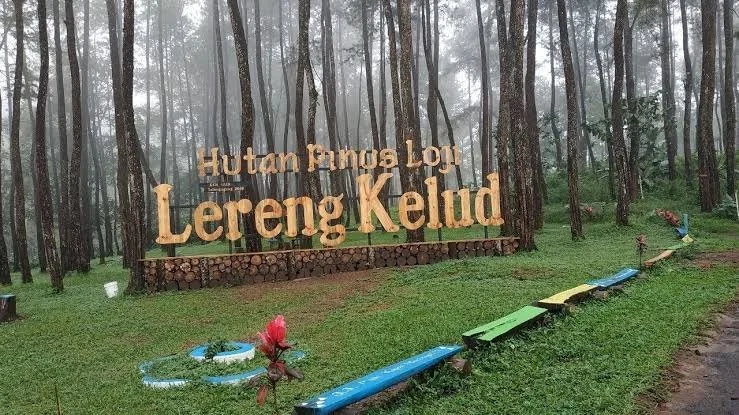 Wisata Blitar Hutan Pinus Loji- CIMB Niaga