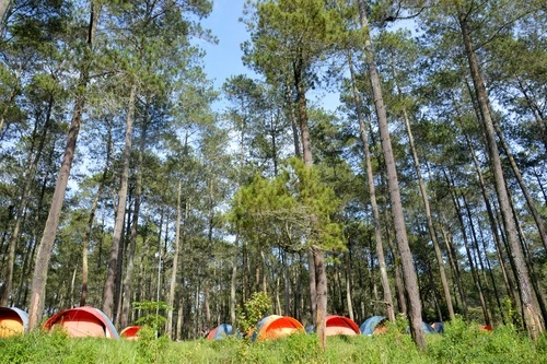 Tempat wisata garut karacak valley - CIMB Niaga