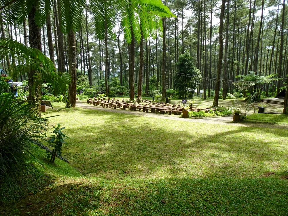 Orchid Forest Cikole tempat healing di bandung - CIMB Niaga