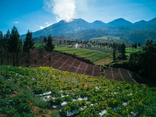 Wisata Batu Puncak Brakseng - CIMB Niaga