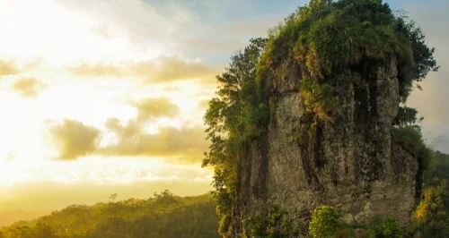 Wisata Kulon Progo Puncak Widosari - CIMB Niaga