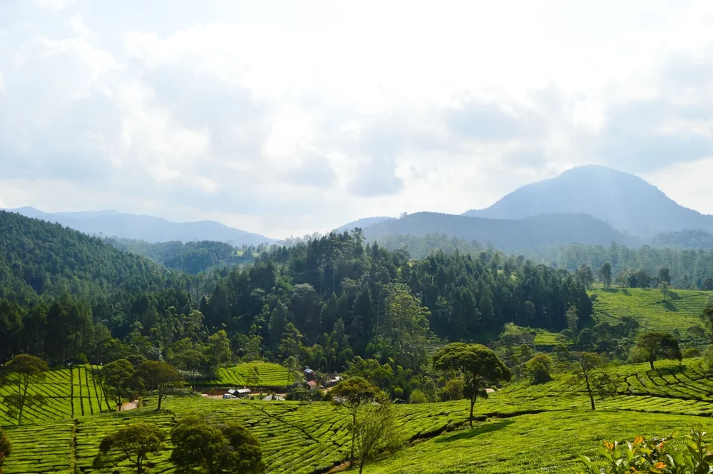 Tempat Wisata Bandung - CIMB Niaga