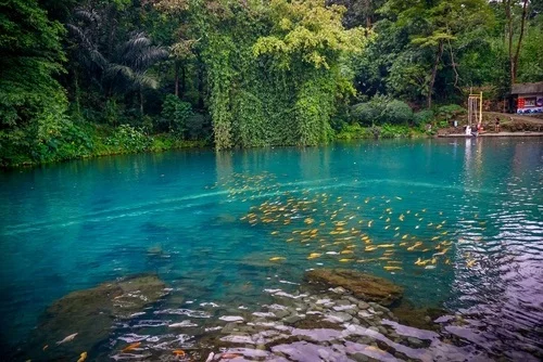 Wisata Majalengka Situ Cipanten - CIMB Niaga