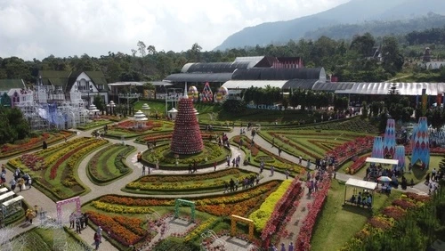 Wisata semarang taman bunga celosia - CIMB Niaga