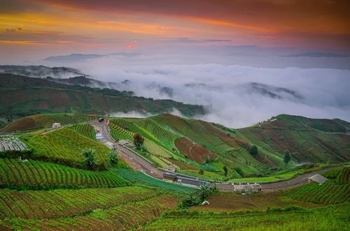 Wisata Majalengka Terasering Panyaweuyan - CIMB Niaga