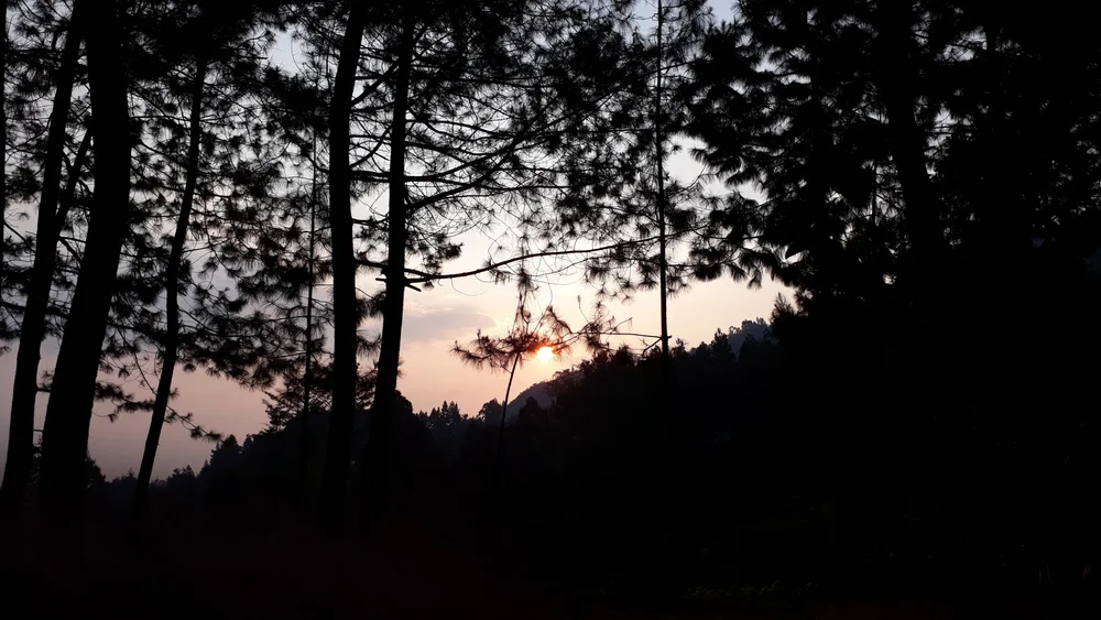 Rekomendasi Tempat Wisata Bogor - CIMB Niaga
