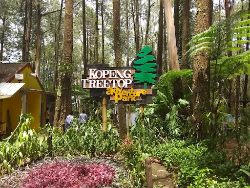 Kopeng Treetop Adventure - CIMB Niaga