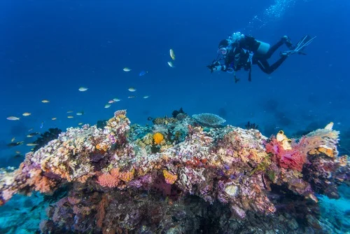 liburan yang seru wisata selam di Raja Ampat - CIMB Niaga