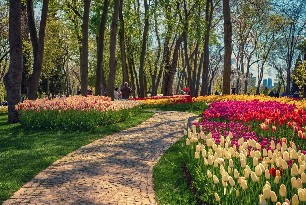 Wisata Turki Emirgan Tulip Garden - CIMB Niaga