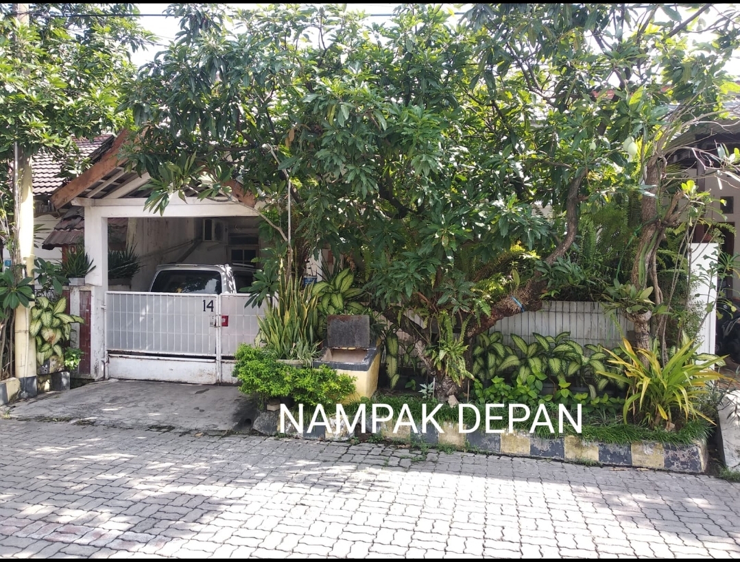 rumah