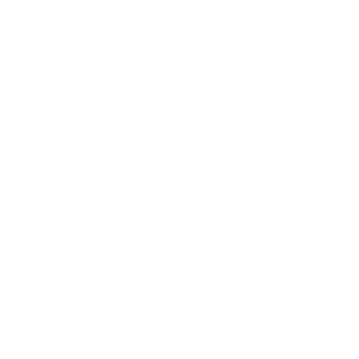 Wealth Credit Line