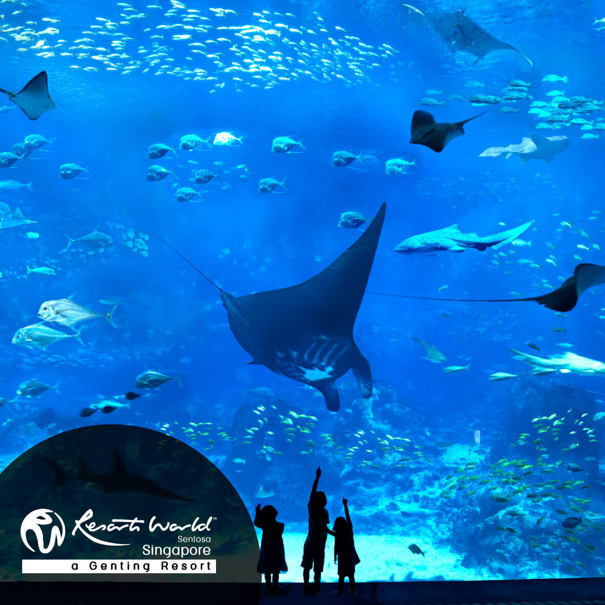 mastercard banner rws aquarium